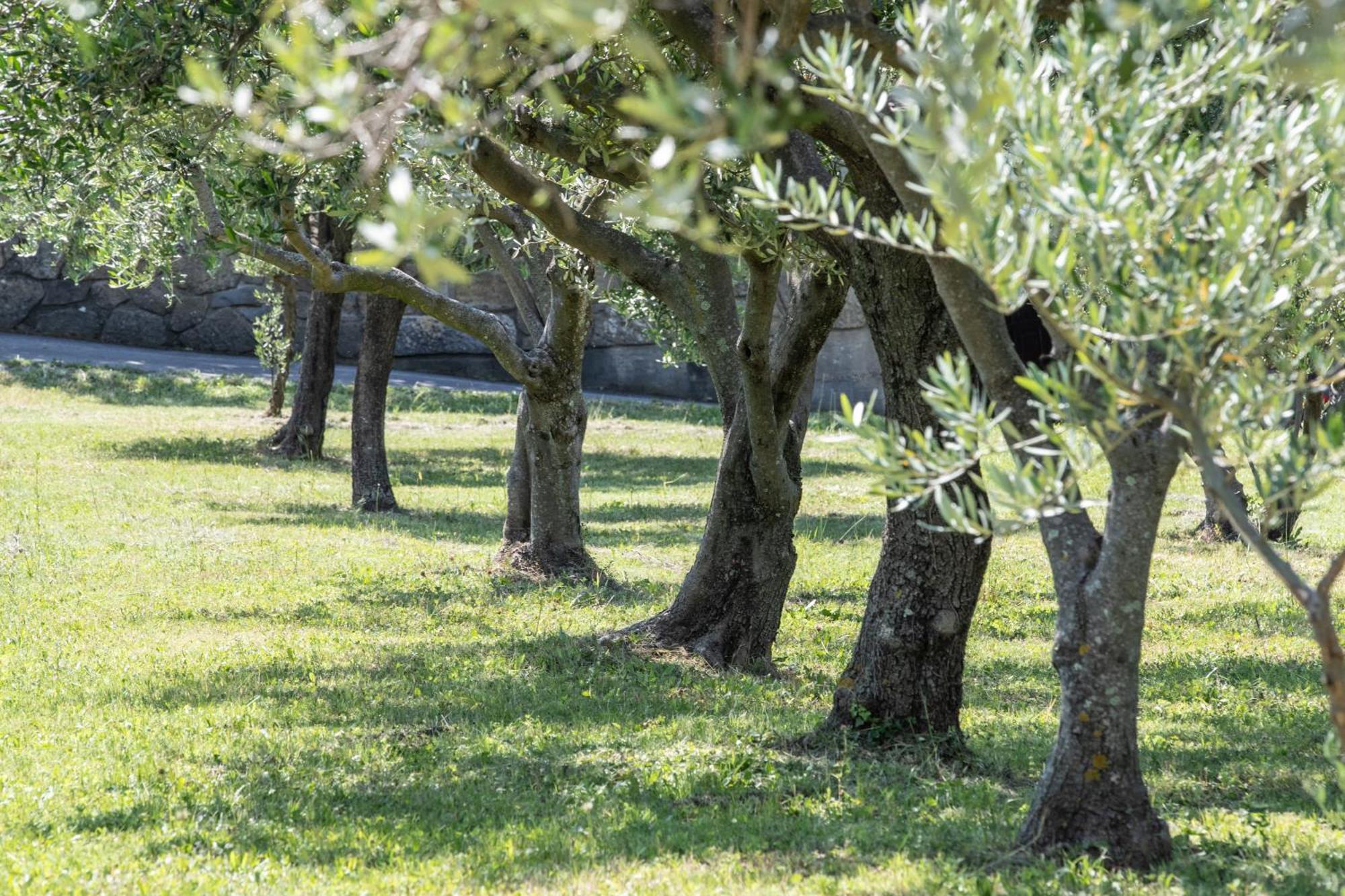 Affittacamere Cigui 무쟈 외부 사진